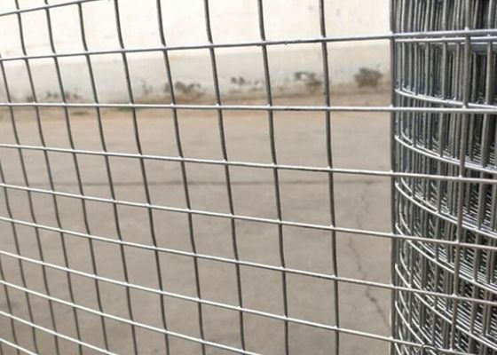Moisture Proof Galvanized Double Wire Mesh Fence 2.5m Gauge Powder Coated